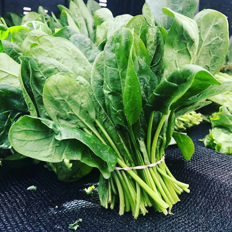 Spinach, a leafy green vegetable